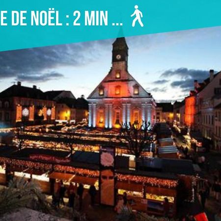 Le 15-Gregimmo-Appart'Hotel Montbéliard المظهر الخارجي الصورة